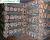 Рабица 55х55х2 (1,5 х 10,0 м) 