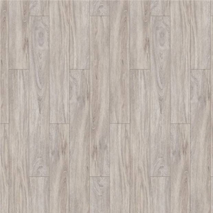 TIMBER FORESTER