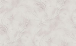 The Best Titanium Shade