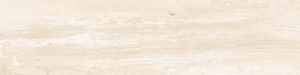 Karakum dune